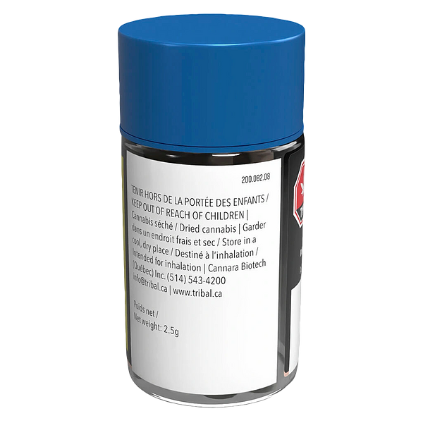 Tribal - Gran Turismo Pre-Roll