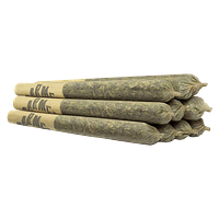 Carmel - Big Apple Pre-Rolls