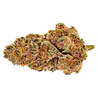 Pure Sunfarms - Purple Fog