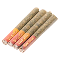 Wreckroom - Daydream (Sativa Blend) Pre-Roll