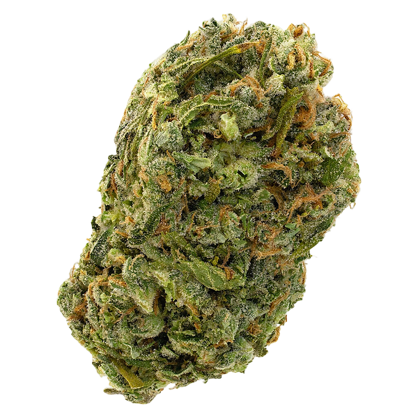 7ACRES - Silver Diesel