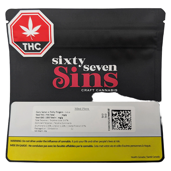 Sixty Seven Sins - Mind Playa