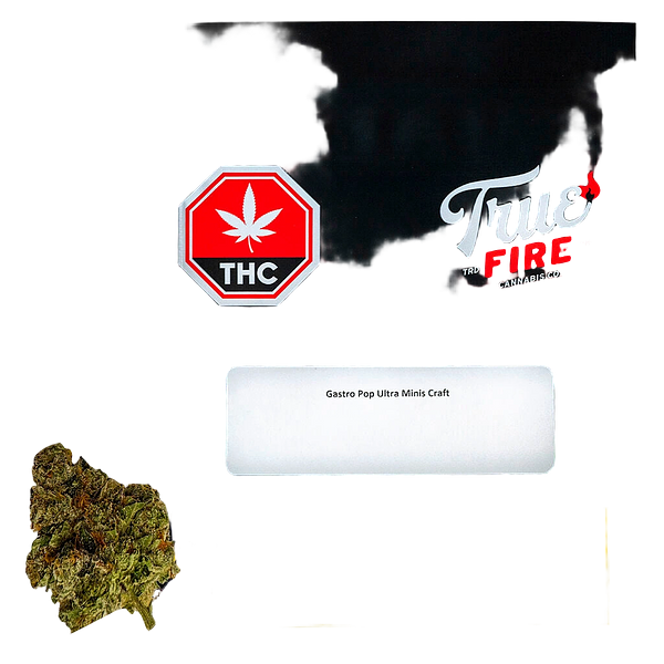 True Fire - Gastro Pop Ultra Minis Craft
