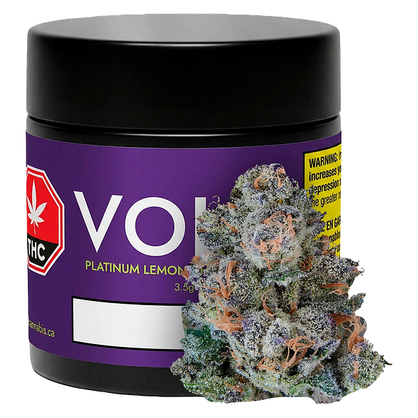 VOLO - Platinum Lemon Cherry Gelato