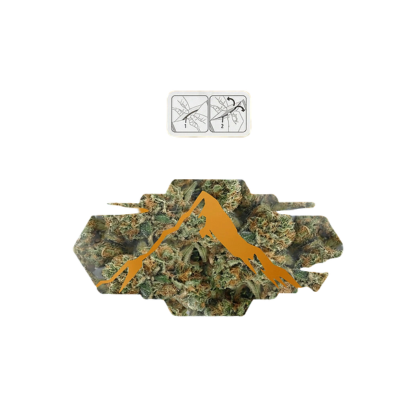 North of 28 - Kush Mintz