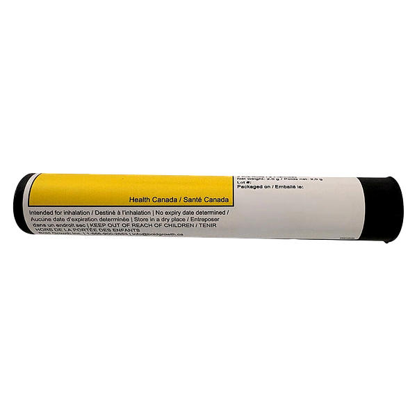 BOLD GLAZED - Sativa Pre-Roll