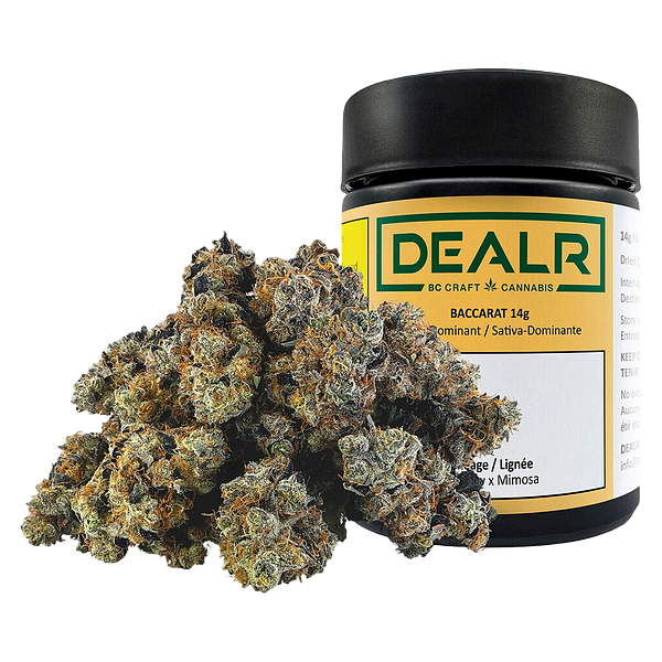 DEALR - Baccarat
