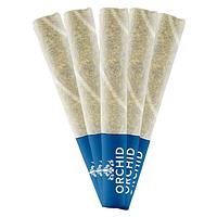 Orchid CBD - Jean Guy Cbd Pre Roll