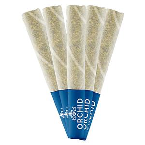 Orchid CBD - Jean Guy Cbd Pre Roll