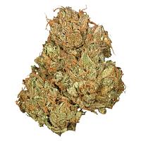 Orchid CBD - Jean Guy Cbd