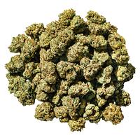 Super Toast - smol buds