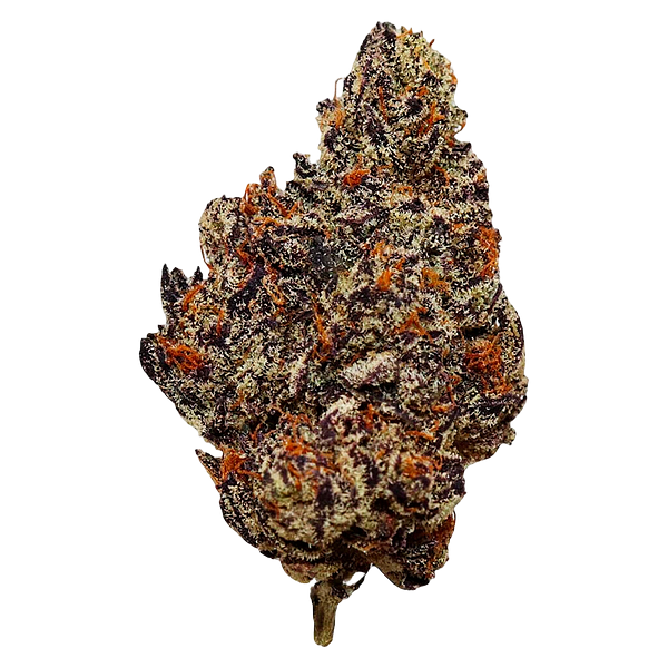 HighXotic - Batch 007