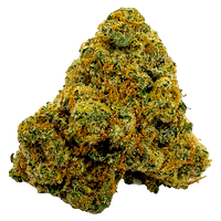 Pepe Everyday - Durban Poison