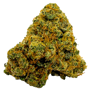 Pepe Everyday - Durban Poison