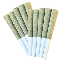 HVT - Dual 40 Pre Roll