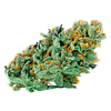 Connoisseur Culture - Connoisseurs Crop - Rotational Dank Outdoor Oz thumbnail 1