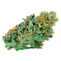 Connoisseur Culture - Connoisseurs Crop - Rotational Dank Outdoor Oz