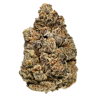 Palmetto - Radical Juice