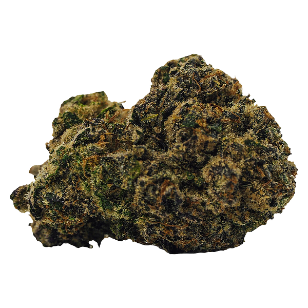 BOLD - Rocket Fuel