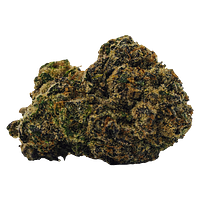 BOLD - Rocket Fuel