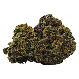 BOLD - Rocket Fuel