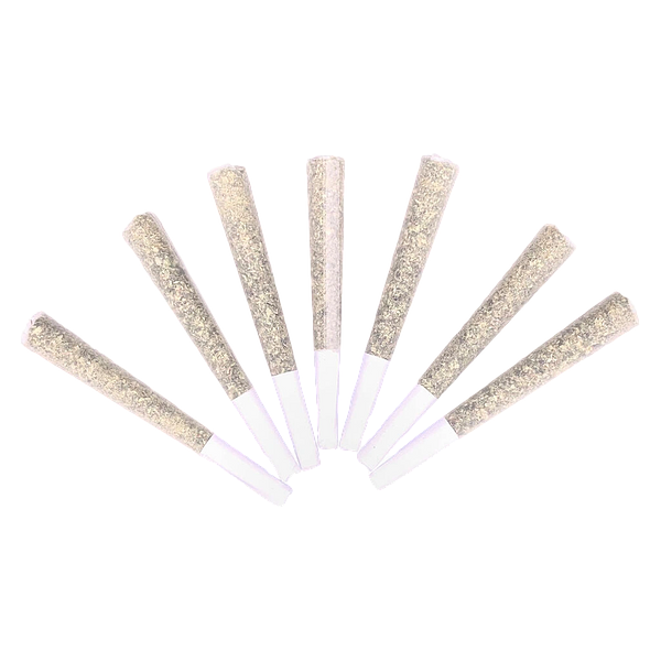 Flhigh - Johnny Cage Aces Pre Roll