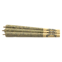Carmel - Sherbadough Pre Roll