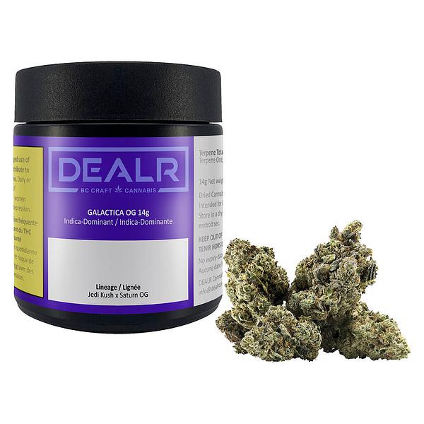 DEALR - Galactica Og image 4