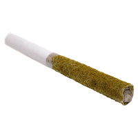 Vortex - Double Black Hash Infused Pre-Roll