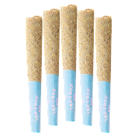The Loud Plug - Drippyz Bubba Joon Infused Pre-Roll