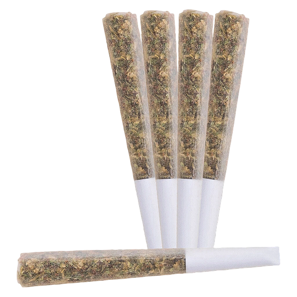 BLAST - Nova Live Rosin Infused Pre-Roll