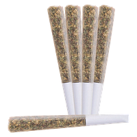 BLAST - Nova Live Rosin Infused Pre-Roll