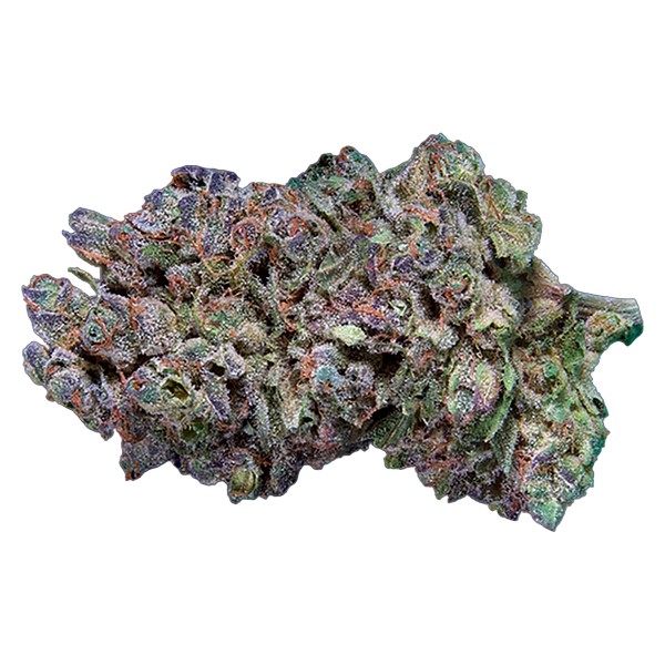 Qwest - Platinum Gas Craft Whole Flower