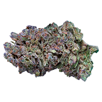 Qwest - Platinum Gas Craft Whole Flower