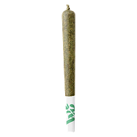 The We Store - Og Sin Pre Roll