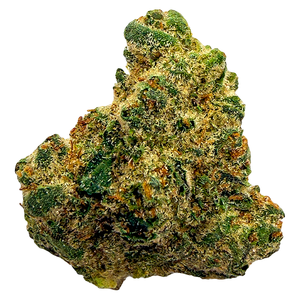 Pepe Everyday - Northern Lights