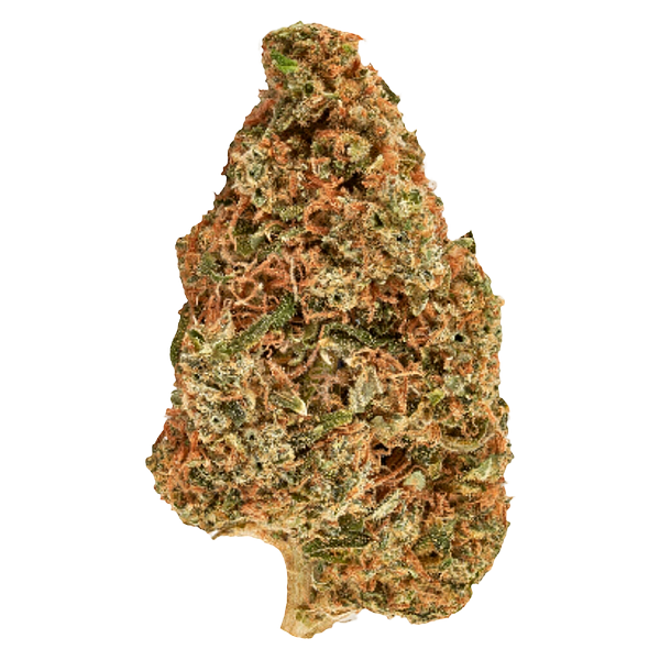 Carnaval - Big Bang Indica Smallz