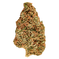 Carnaval - Big Bang Indica Smallz