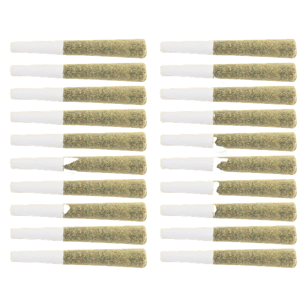 The Loud Plug - Multi G Pack Pre Roll