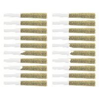 The Loud Plug - Multi G Pack Pre Roll