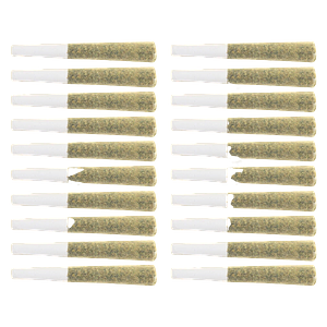 The Loud Plug - Multi G Pack Pre Roll