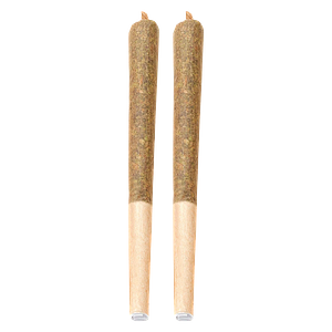 Carnaval - Midnight Ride Pre Roll