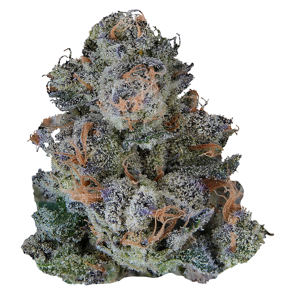 VOLO - Platinum Lemon Cherry Gelato