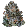 VOLO - Platinum Lemon Cherry Gelato thumbnail 1
