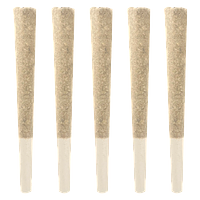 Dom Jackson - Gas Pack Pre Roll