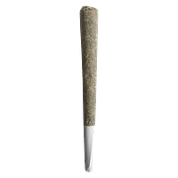 Saladz - Cobb Salad Hybrid Pre Roll