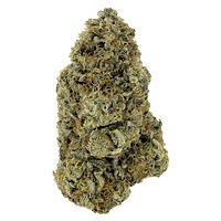 Woody Nelson - Sunset Sherbet Craft Flower