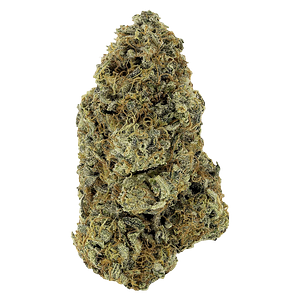 Woody Nelson - Sunset Sherbet Craft Flower
