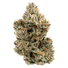 Northern Canna - The Collective Oz thumbnail 1