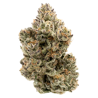 Northern Canna - The Collective Oz